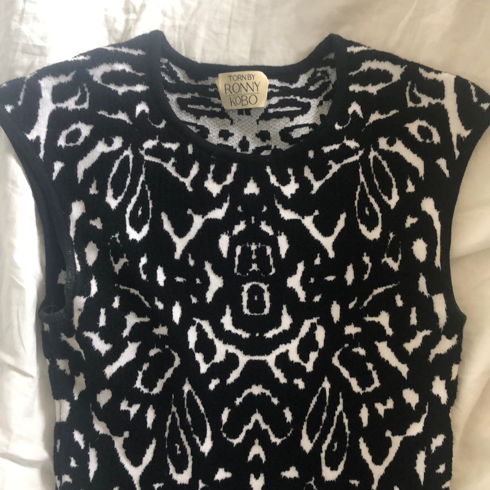 Torn by Ronny Kobo Fit and flare dress